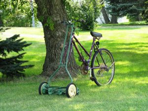 Yard Bike Lawn Mower Tree Mowing  - Zoeycla / Pixabay